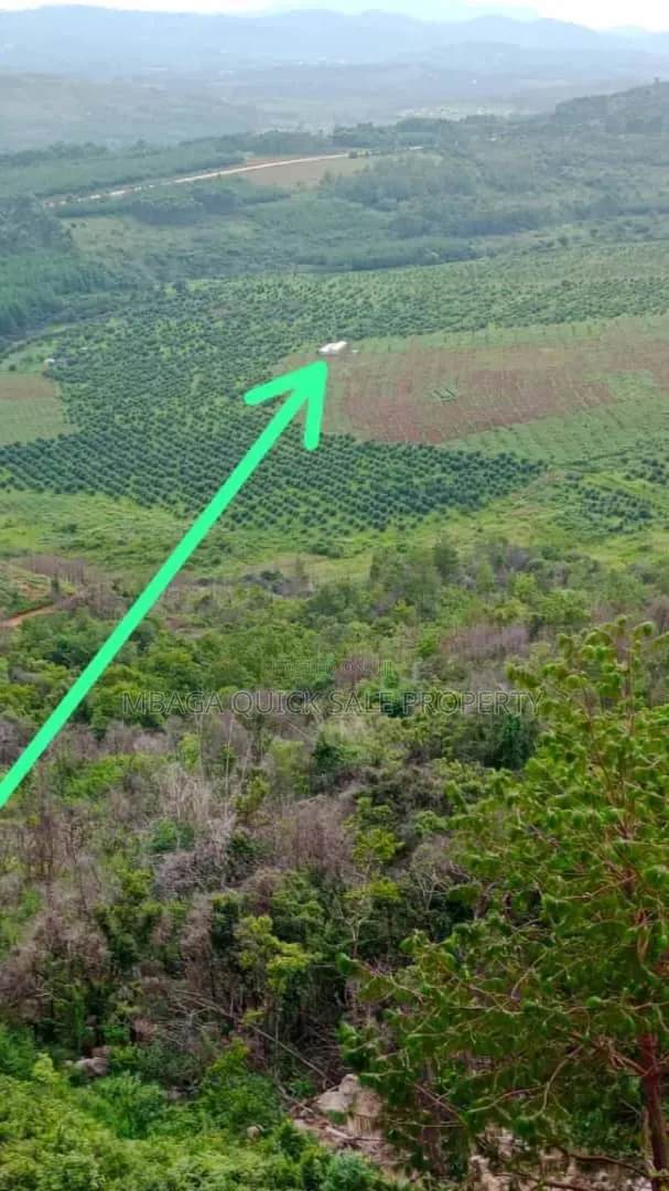 Avacado Farm for Sale at Njombe 200 Acres in Iwela