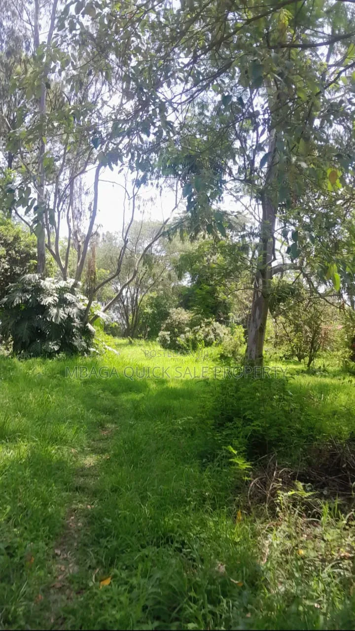 Plot for Sale at Sakina Chini in Sakwe