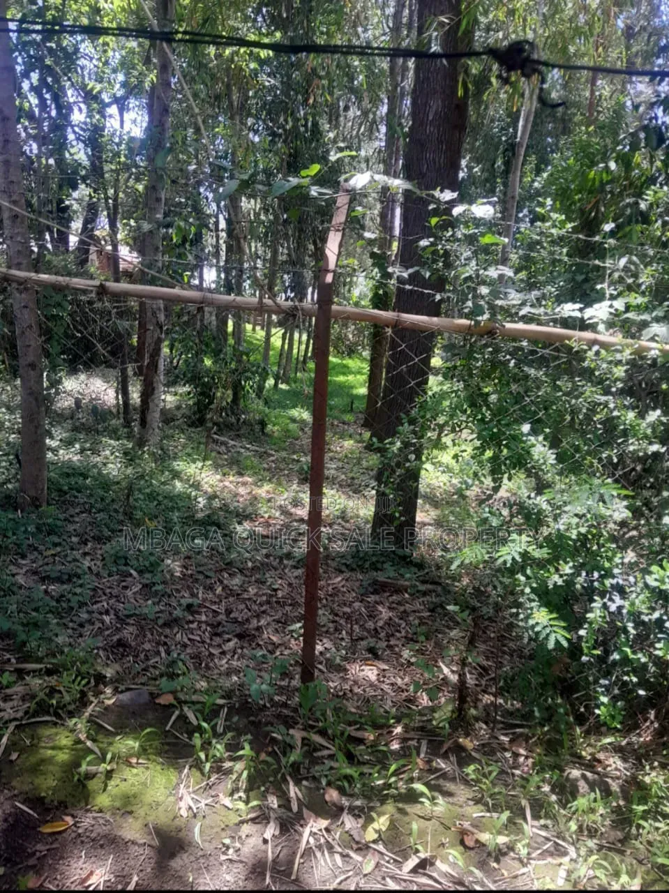 Plot for Sale at Sakina Chini in Sakwe