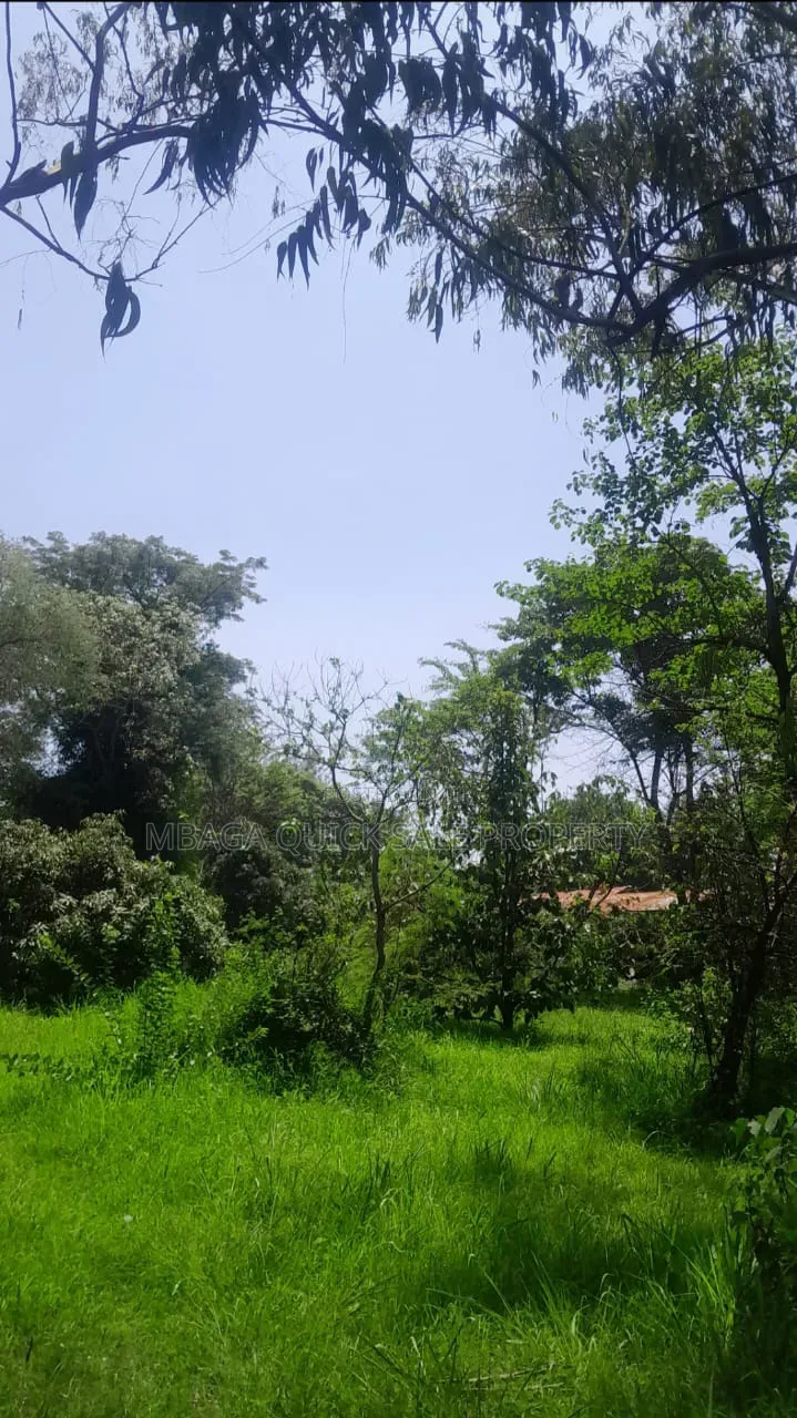 Plot for Sale at Sakina Chini in Sakwe