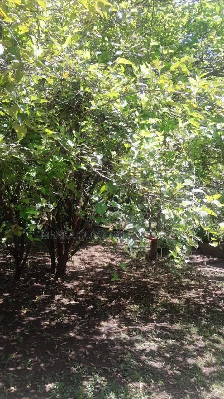Plot for Sale at Sakina Chini in Sakwe