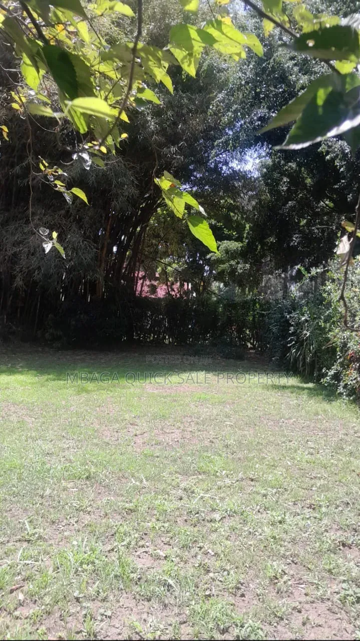 Plot for Sale at Sakina Chini in Sakwe