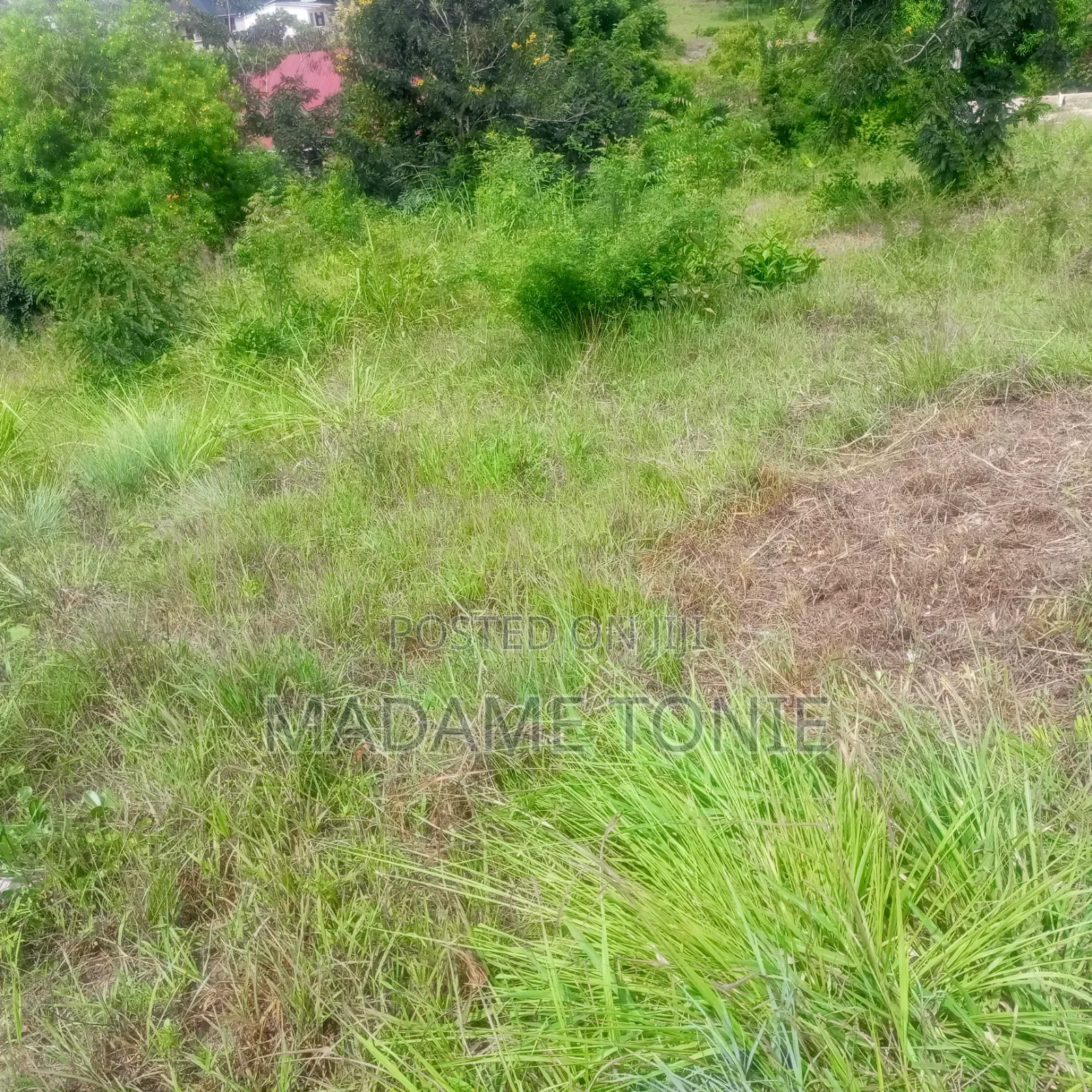 Kibaha Kumenoga in Maili Mmoja