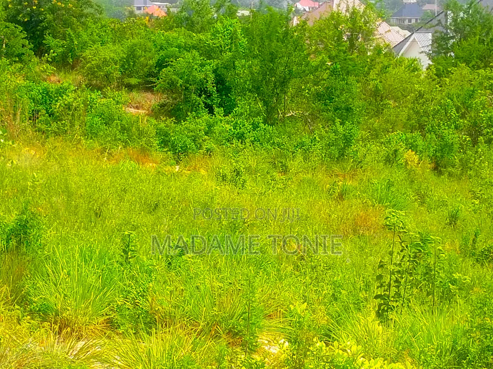 Kibaha Kumenoga in Maili Mmoja