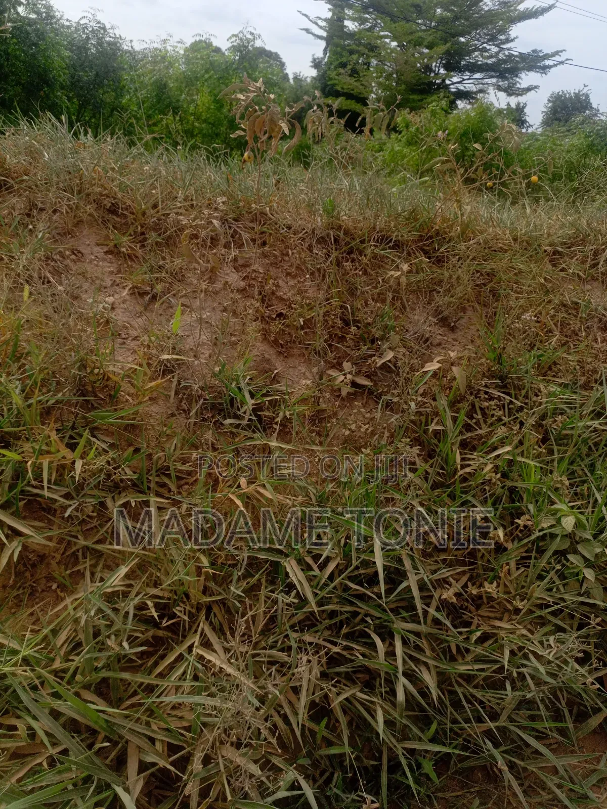 Eneo Linauzwa Kona Ya Chuo in Kigamboni