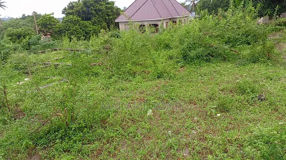 Eneo Linauzwa Kona Ya Chuo in Kigamboni