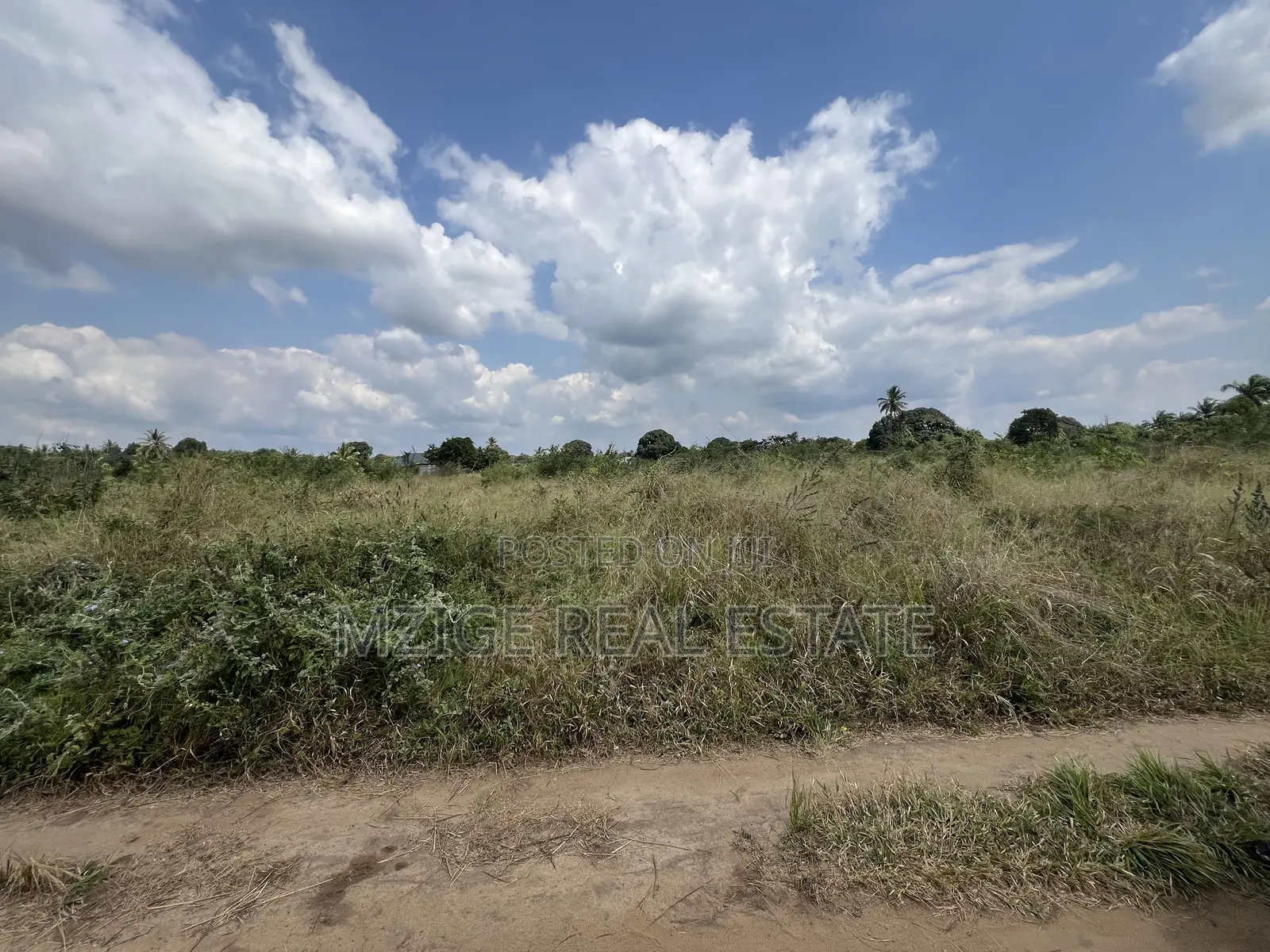 137 Acres of Agriculture Farm for Sale in Mhaga, Kisarawe in Kuruhi