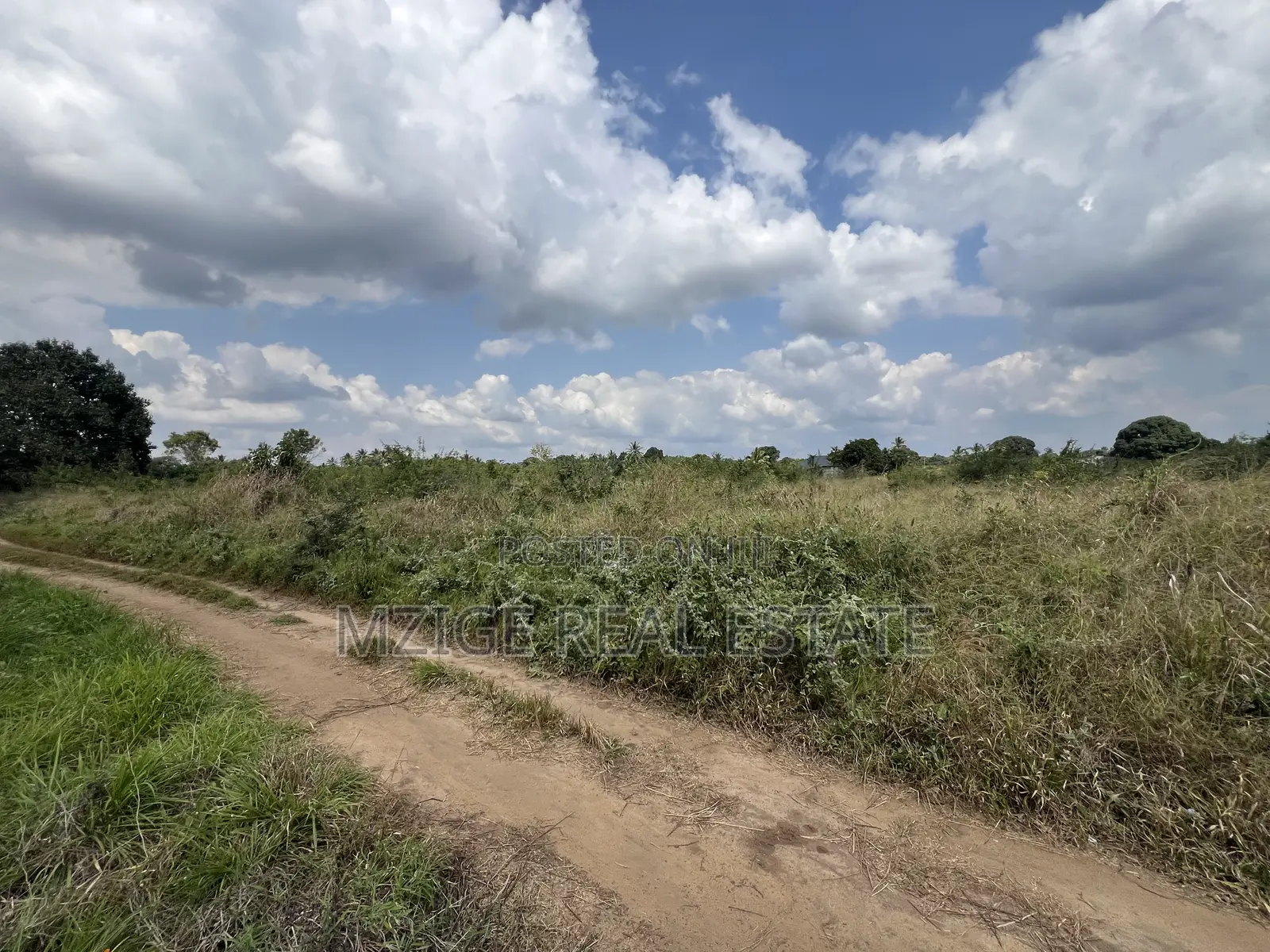 137 Acres of Agriculture Farm for Sale in Mhaga, Kisarawe in Kuruhi