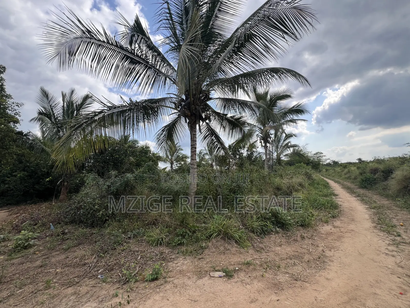 137 Acres of Agriculture Farm for Sale in Mhaga, Kisarawe in Kuruhi