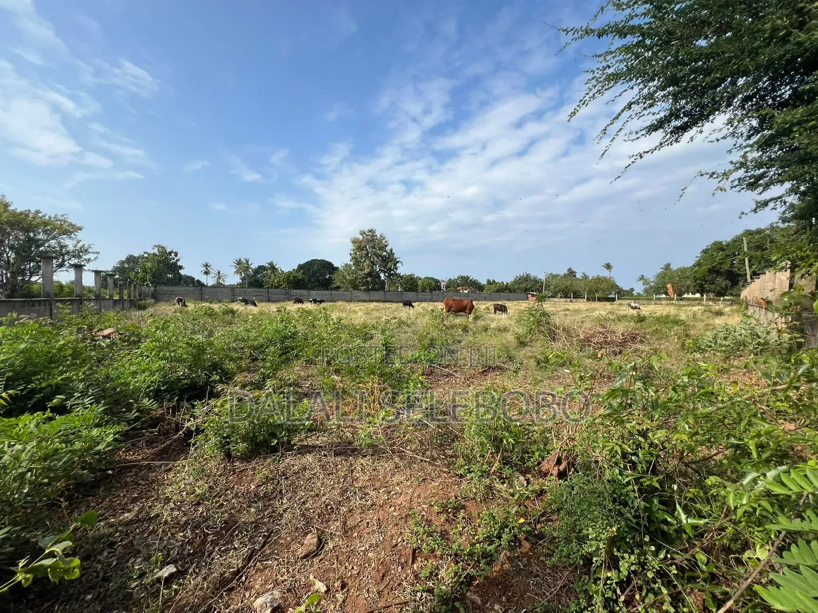 8hector at Tanga Mwambani Investment Area in Central