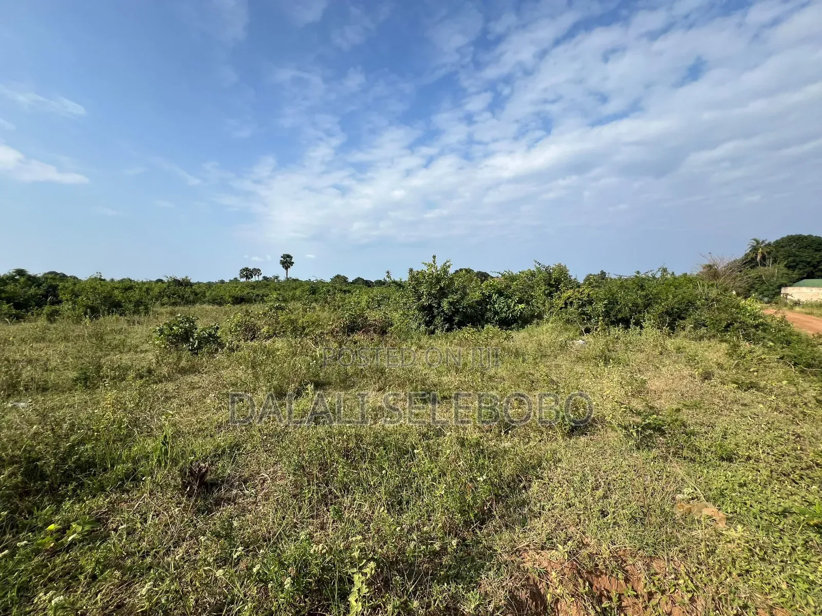 8hector at Tanga Mwambani Investment Area in Central