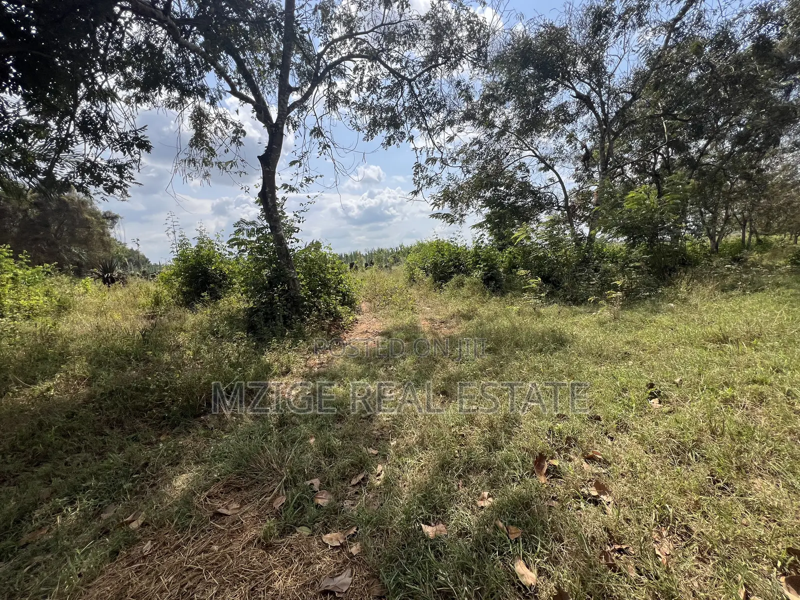 Eneo La Ekari 145.84 Maweni Industrial Area Zinauzwa Tanga in Maweni