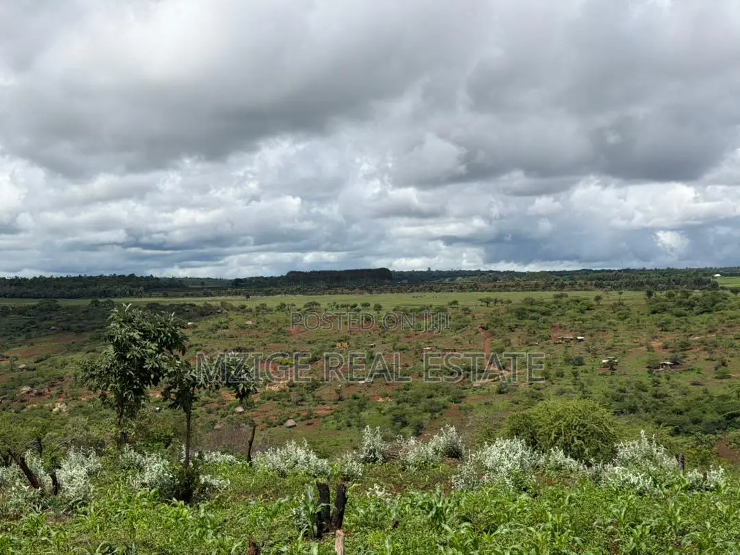 Prime 20-Acre Investment Plot in Karatu – Overlooking Ngorongoro Rim in Oldeani