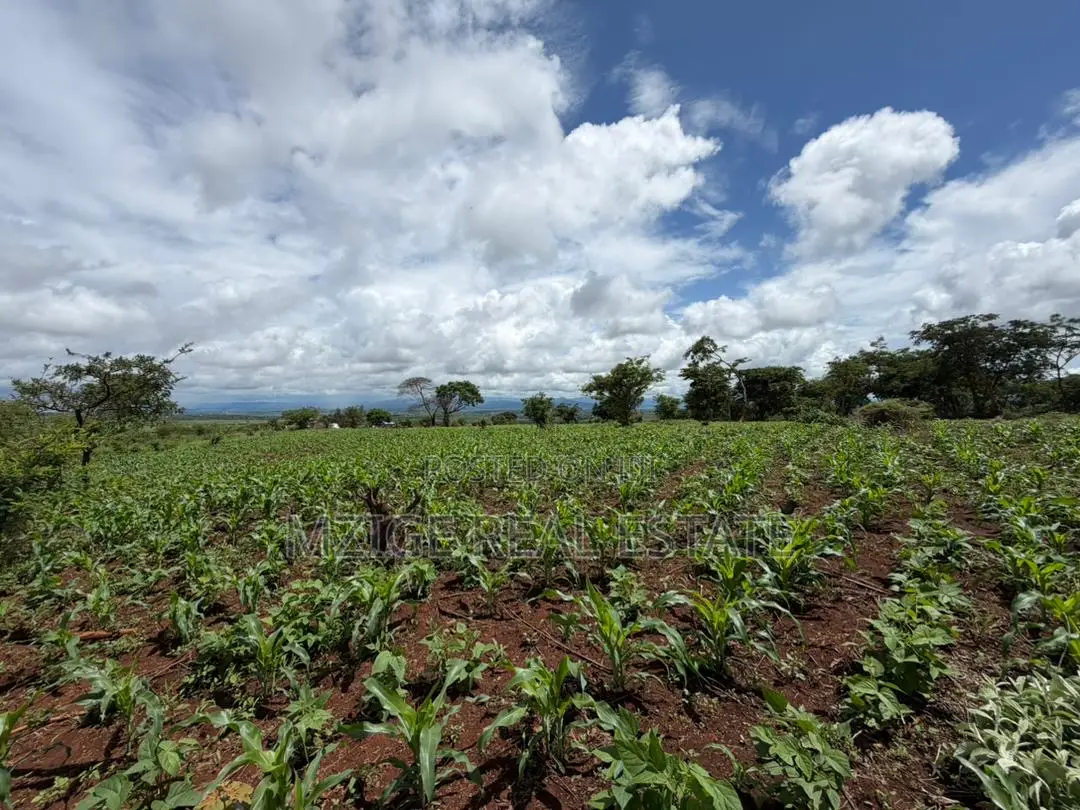 Prime 20-Acre Investment Plot in Karatu – Overlooking Ngorongoro Rim in Oldeani