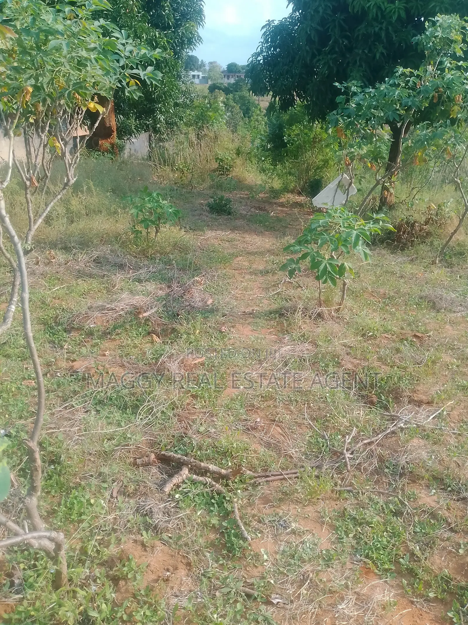 Plot for Sale, in Bunju Beach in Bunju