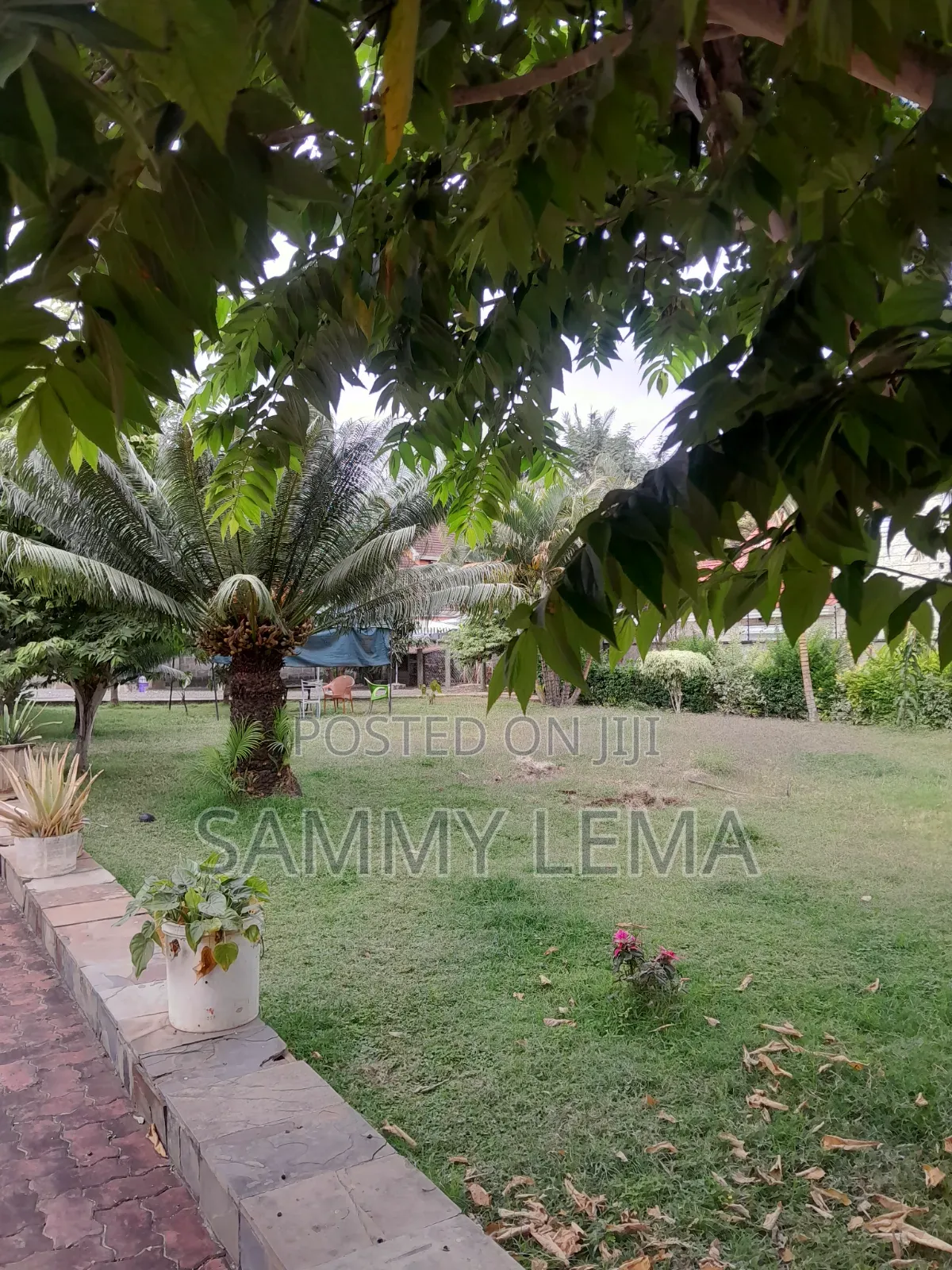 5bdrm Bungalow in Sammy Saidy Real, Njiro for rent in Njiro