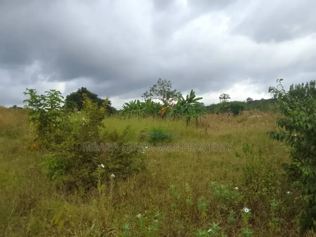 Farm for Sale With 6 Acres for Sale TSH 9,500,000 at Mbwewe Chalinze in Chalinze