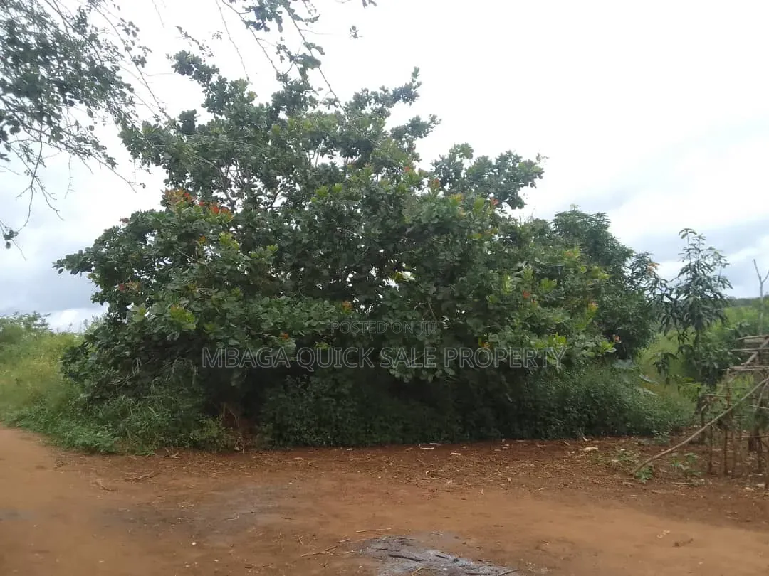 Farm for Sale With 6 Acres for Sale TSH 9,500,000 at Mbwewe Chalinze in Chalinze