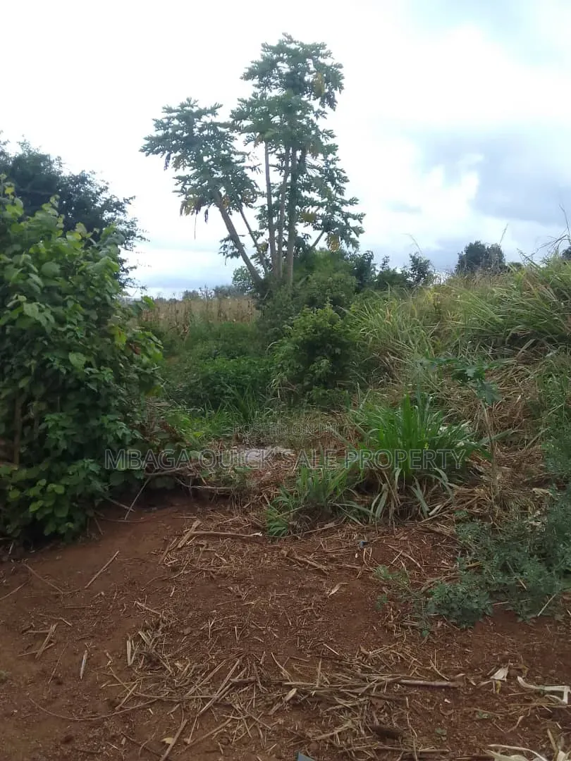 Farm for Sale With 6 Acres for Sale TSH 9,500,000 at Mbwewe Chalinze in Chalinze