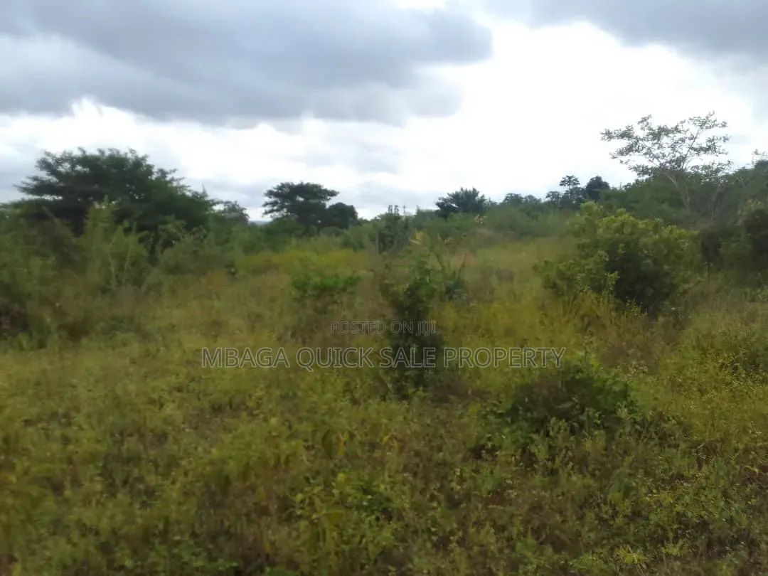 Farm for Sale With 6 Acres for Sale TSH 9,500,000 at Mbwewe Chalinze in Chalinze