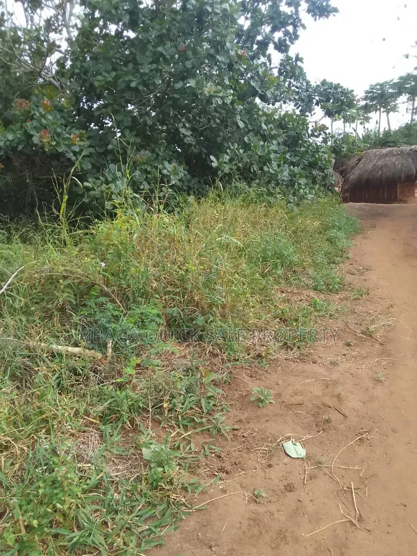 Farm for Sale With 6 Acres for Sale TSH 9,500,000 at Mbwewe Chalinze in Chalinze