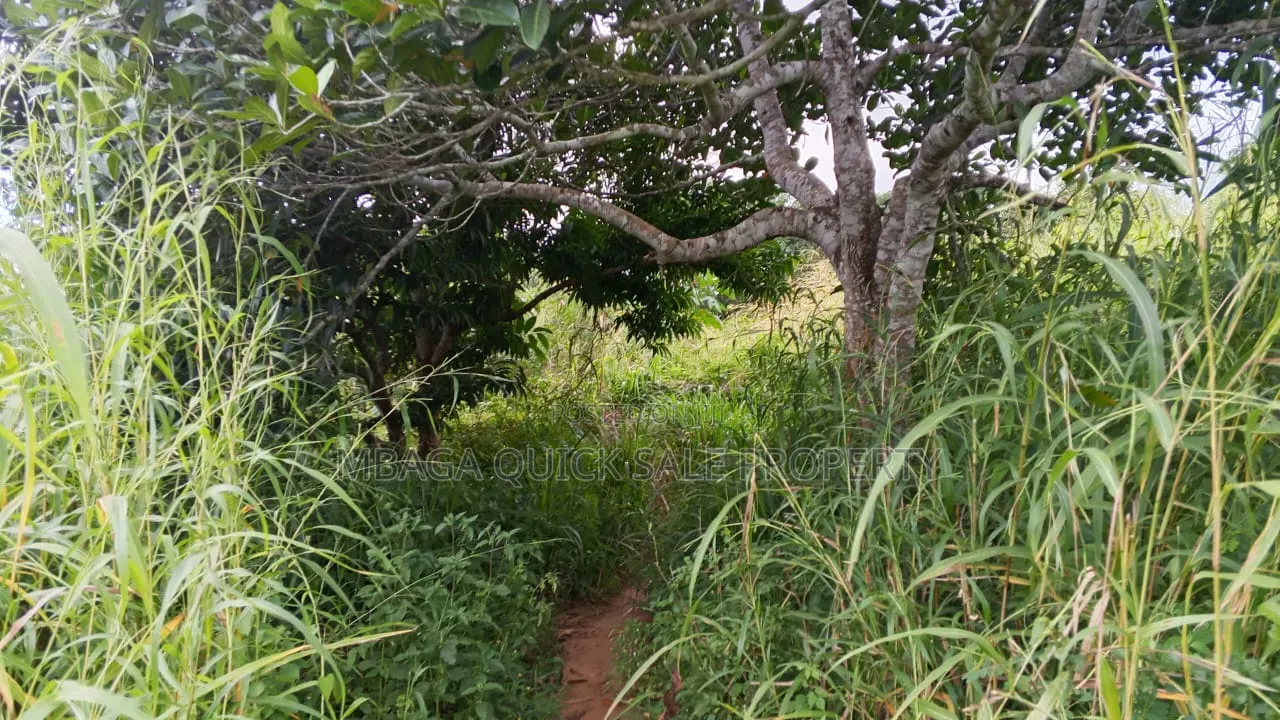 Farm With 20 Acres for Sale in Chalinze Mbwewe in Chalinze