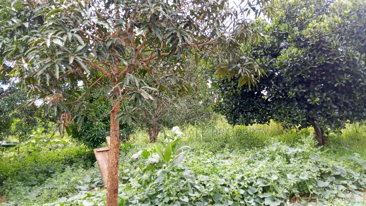 Farm With 20 Acres for Sale in Chalinze Mbwewe in Chalinze