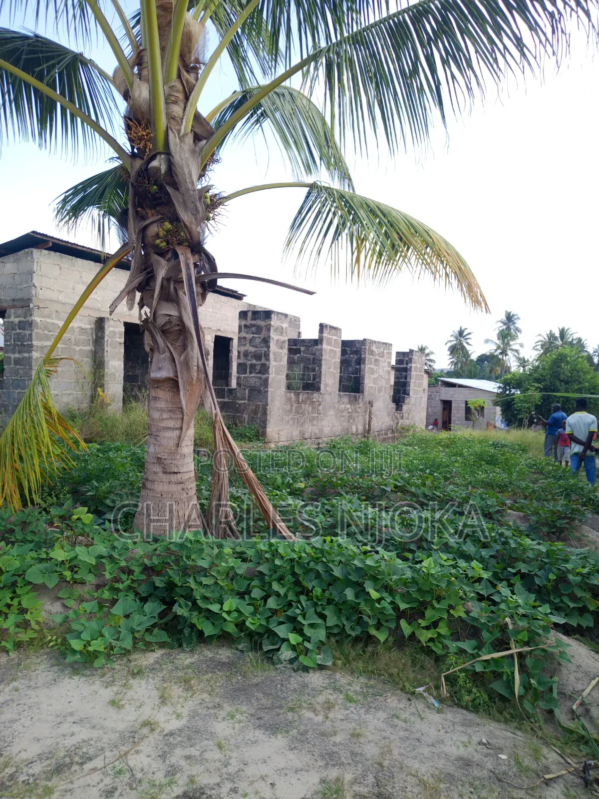 6bdrm House in Viwege, Ilala for sale in Ilala