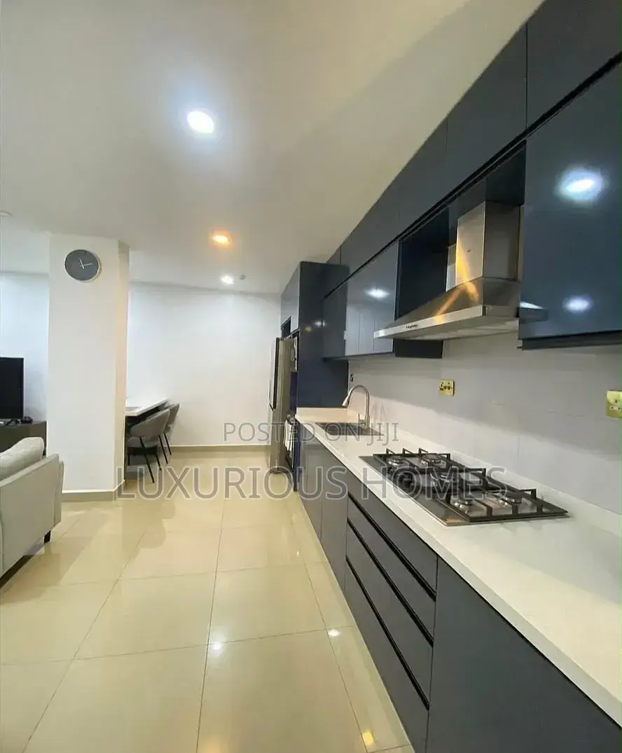 Furnished 2bdrm Apartment in Upanga for rent in Upanga East