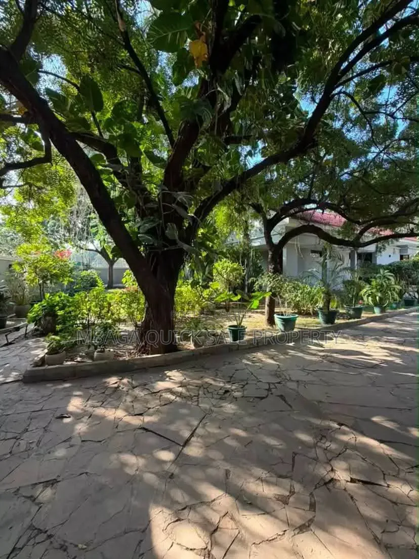 3bdrm House in Masaki for rent in Masaki