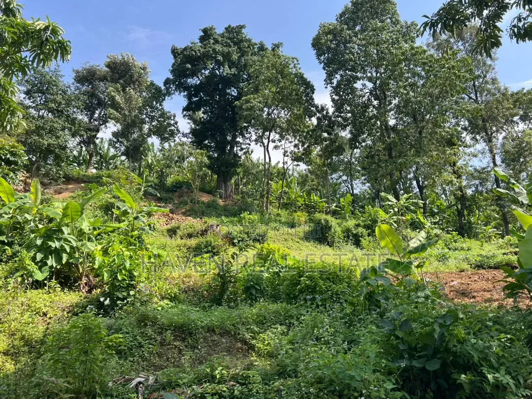 3.8 Acres Commercial Plot for Sale at Arusha in Central Business Area