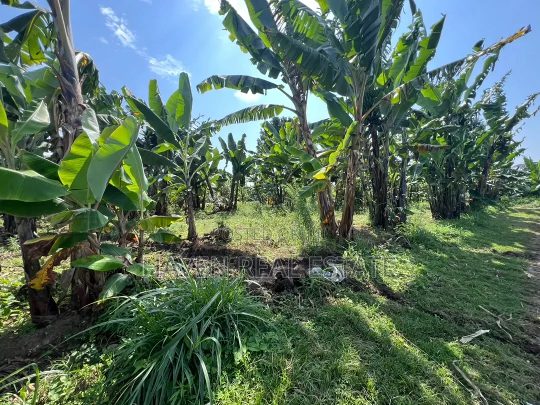 3.8 Acres Commercial Plot for Sale at Arusha in Central Business Area