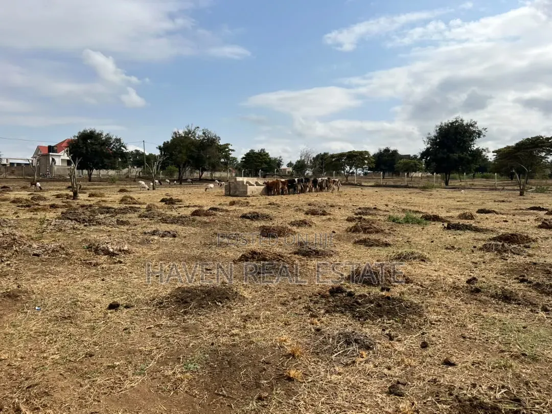Premium Investment Opportunity in Arusha-Mateves in Central Business Area