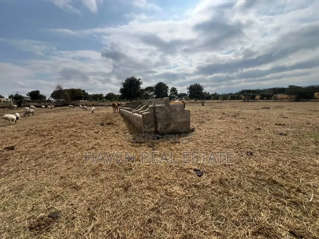 Premium Investment Opportunity in Arusha-Mateves in Central Business Area