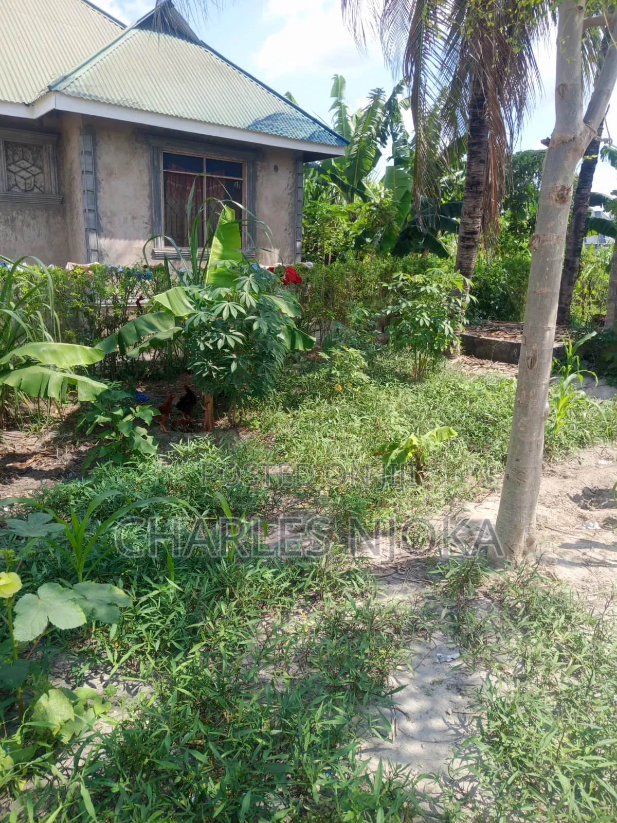 4bdrm House in Halisi, Ilala for sale in Ilala