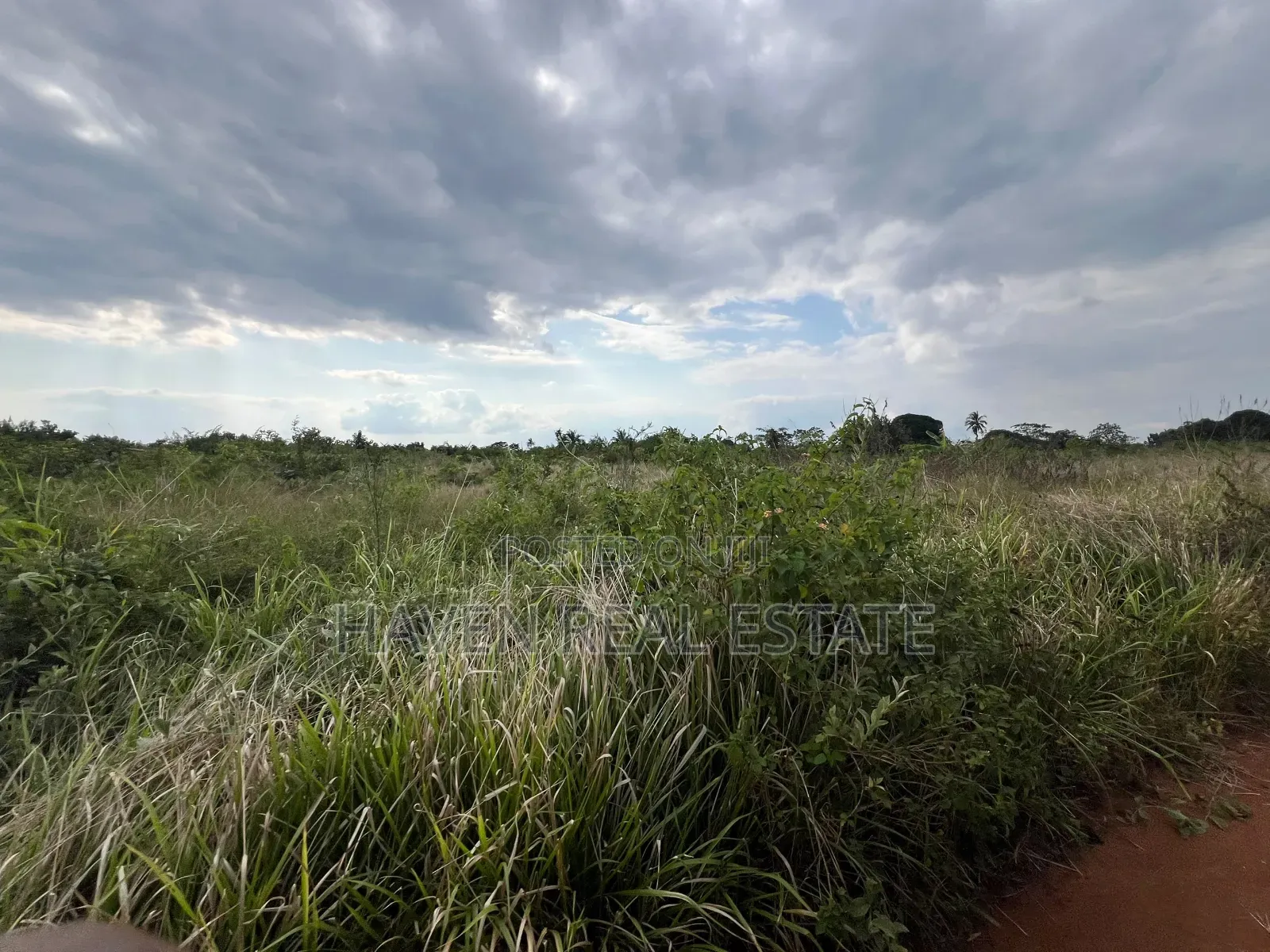 *Premium Plot: 30 Acres in Kisarawe at an Unbeatable Price!* in Masaki