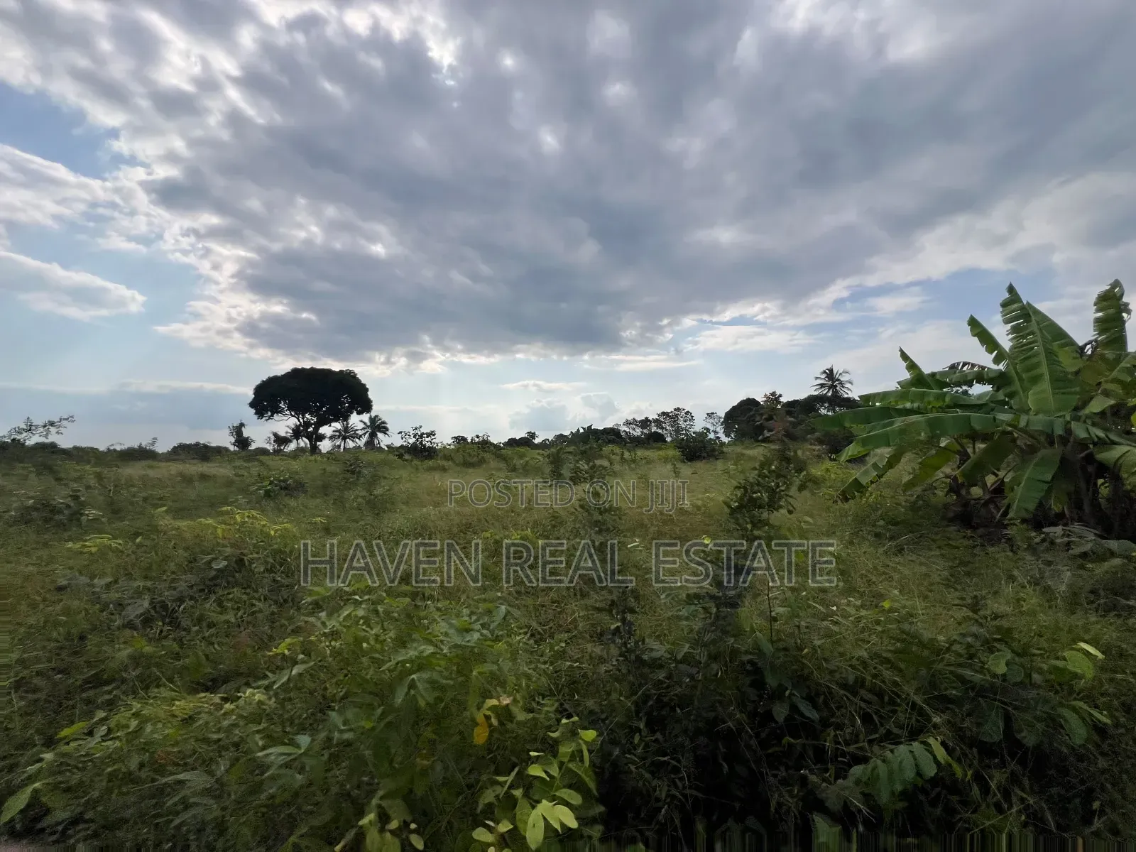 *Premium Plot: 30 Acres in Kisarawe at an Unbeatable Price!* in Masaki