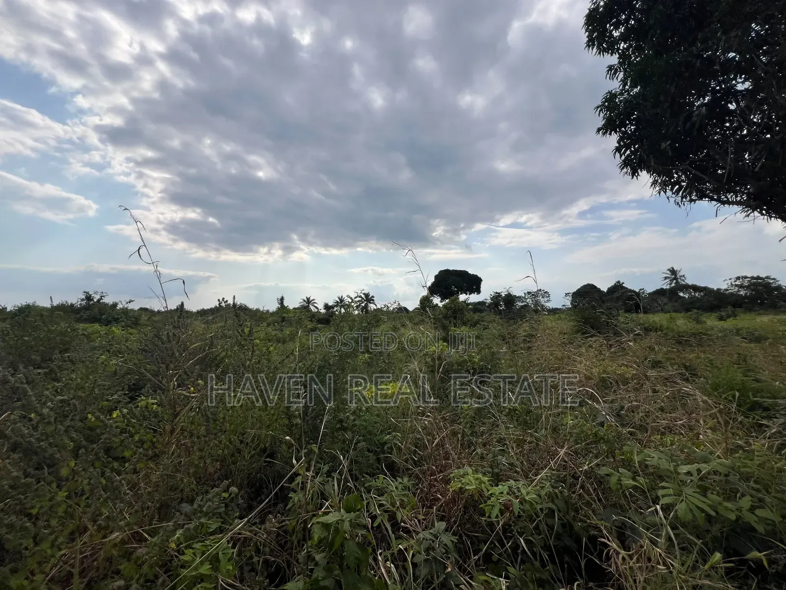 *Premium Plot: 30 Acres in Kisarawe at an Unbeatable Price!* in Masaki