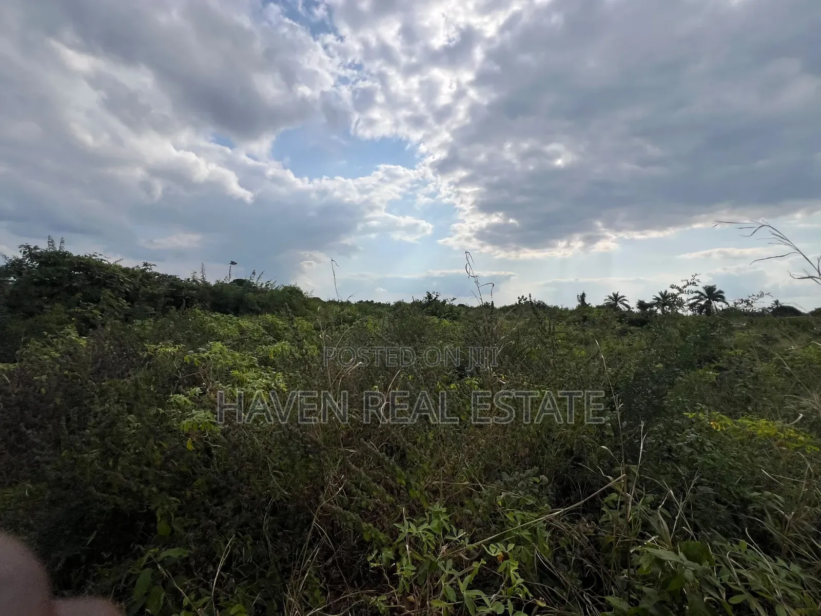 *Premium Plot: 30 Acres in Kisarawe at an Unbeatable Price!* in Masaki