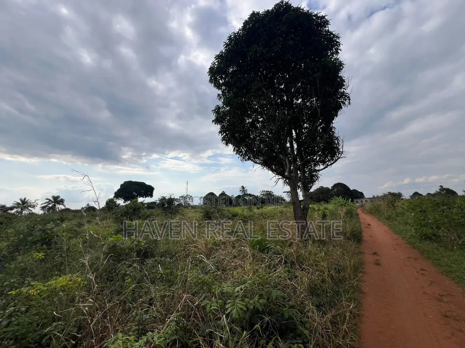 *Premium Plot: 30 Acres in Kisarawe at an Unbeatable Price!* in Masaki