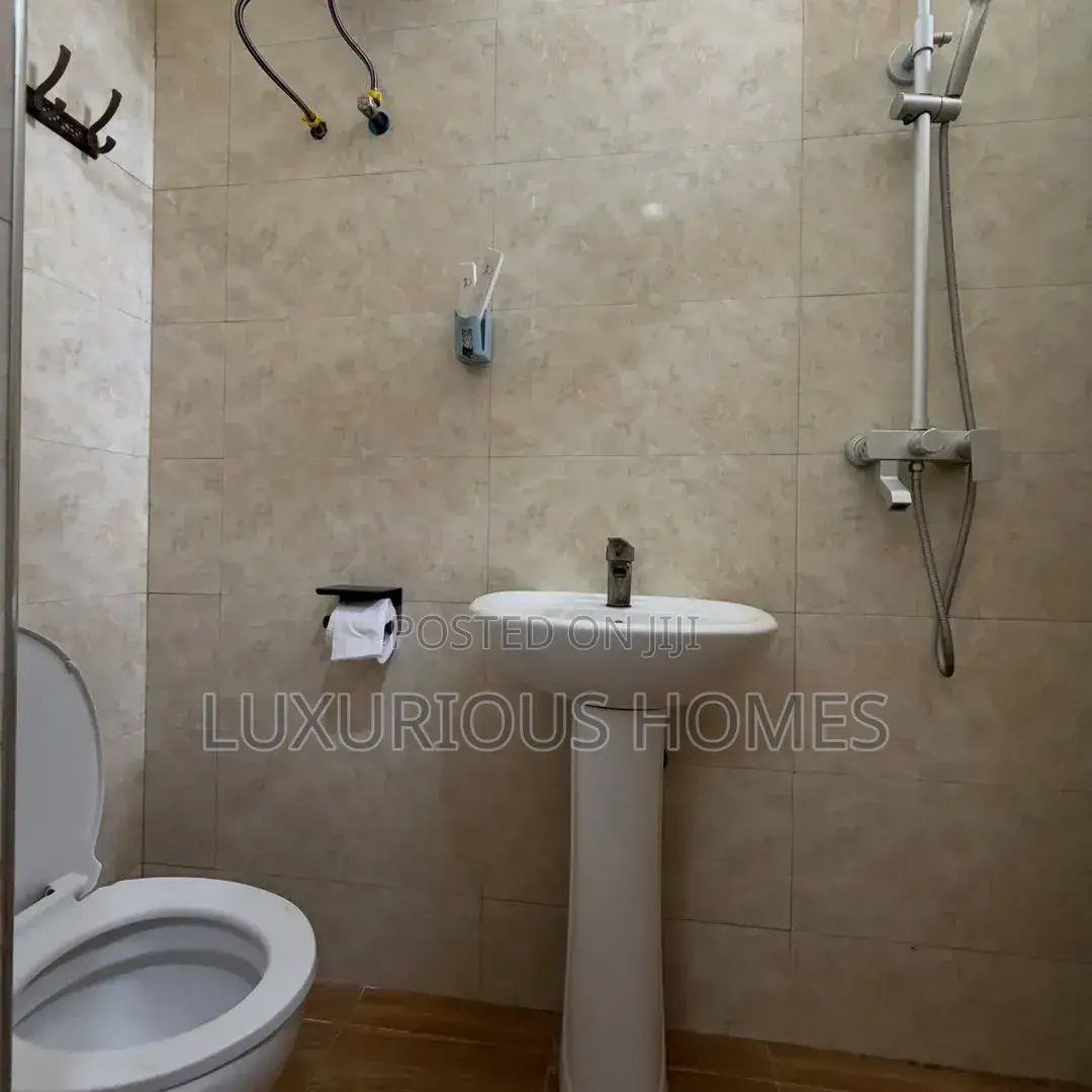 Furnished 1bdrm Apartment in Kinondoni Morocco for rent in Kinondoni