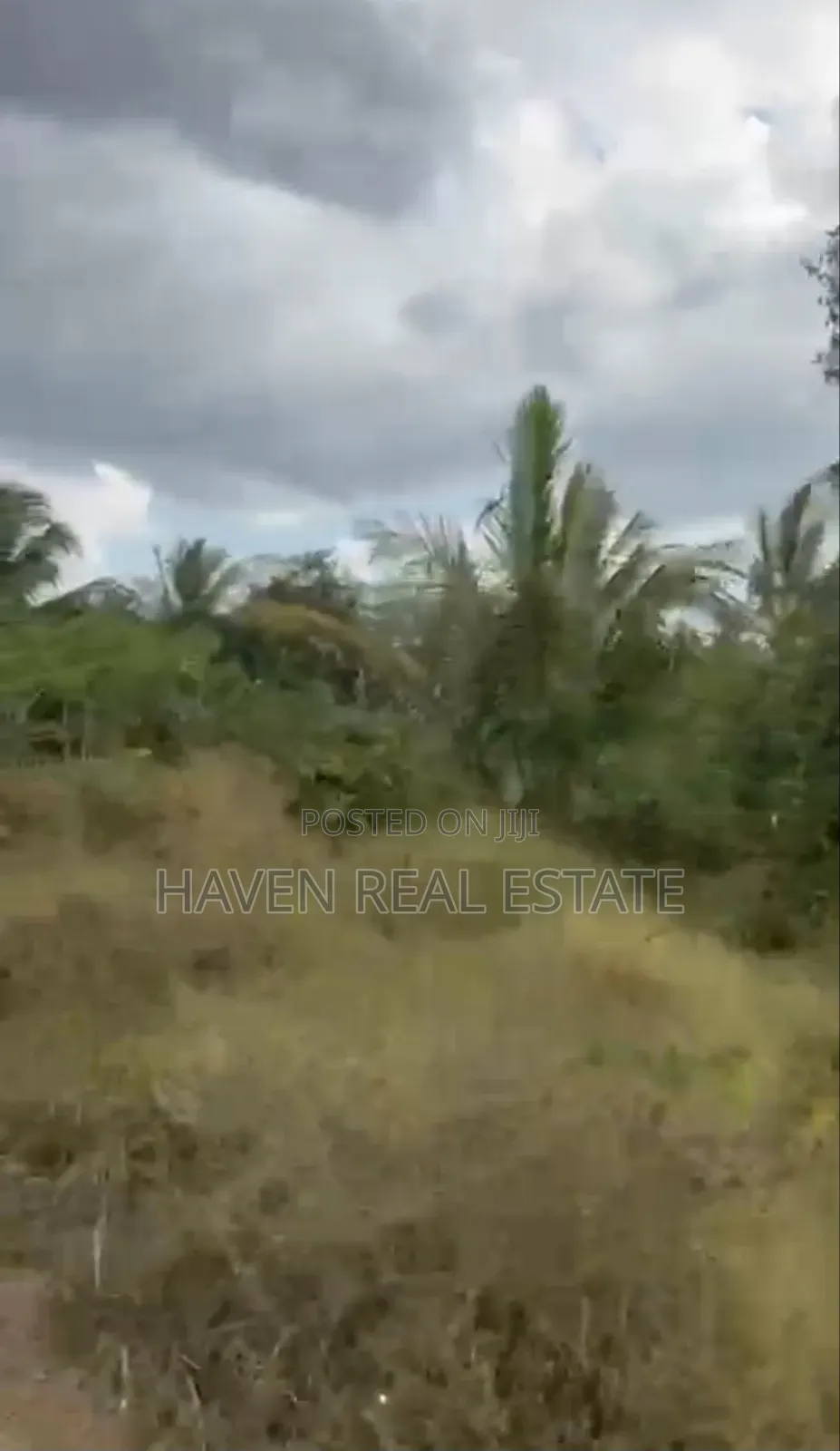 *137 Acres of Agriculture Farm for Sale in Mhaga, Kisarawe* in Masaki
