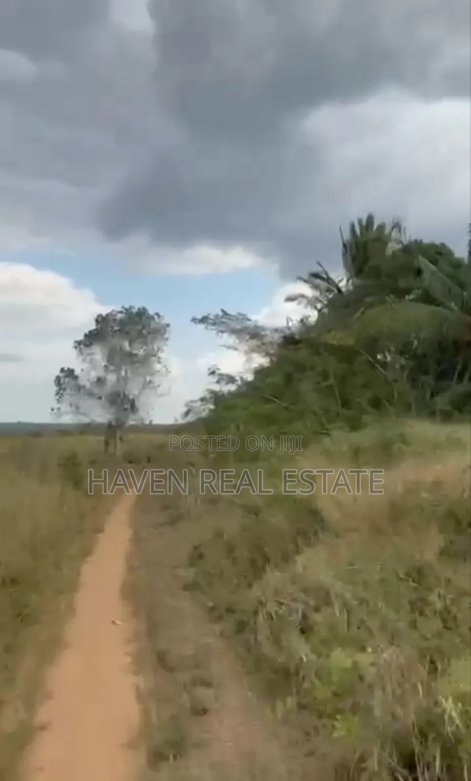 *137 Acres of Agriculture Farm for Sale in Mhaga, Kisarawe* in Masaki