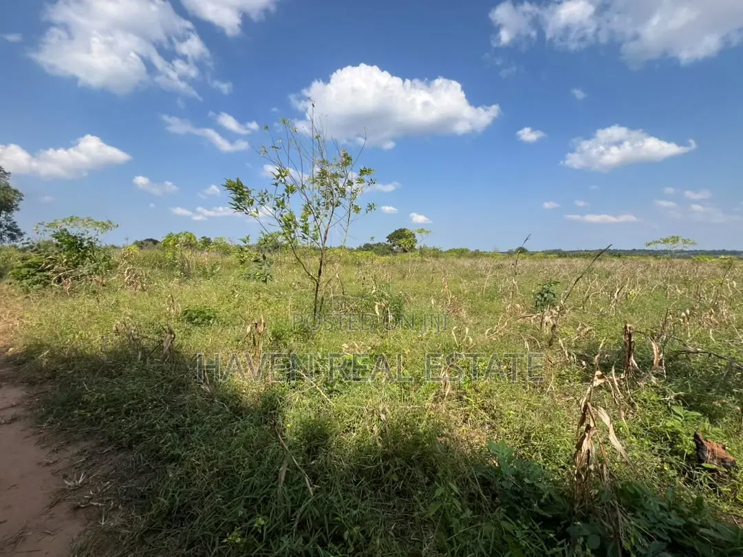 Exceptional Opportunity 140 Acres Industrial Plot in Mkuranga* in Kimanzichana
