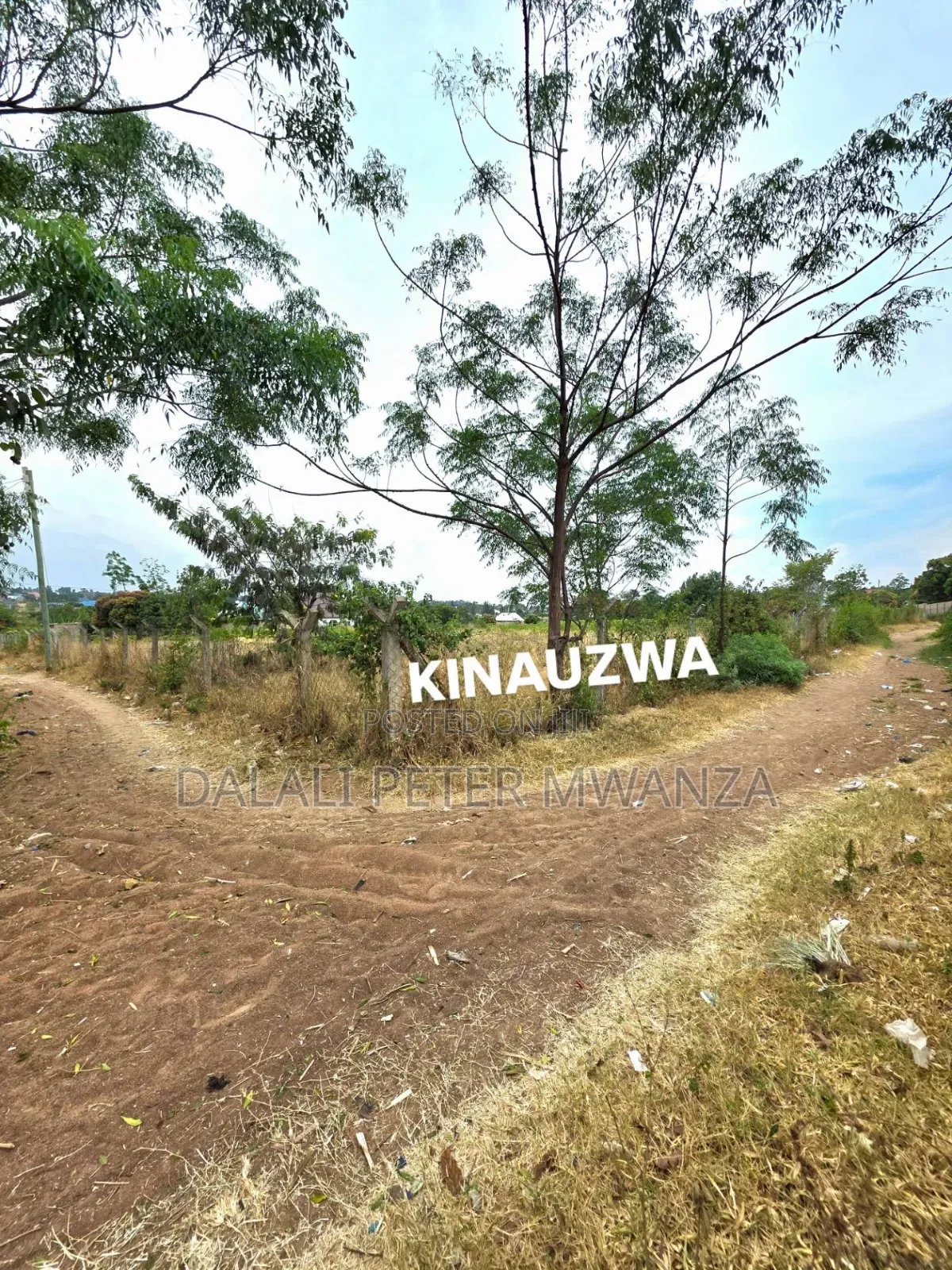Dalali Peter Mwanza in Ilemela Ward