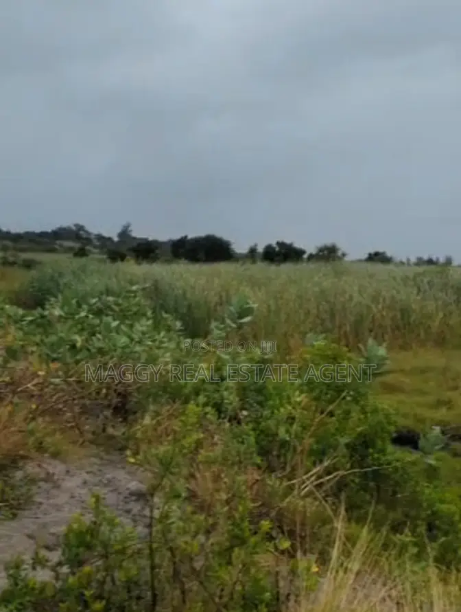 Plots Near Beach for Sale, Mapinga Bagamoyo in Bunju