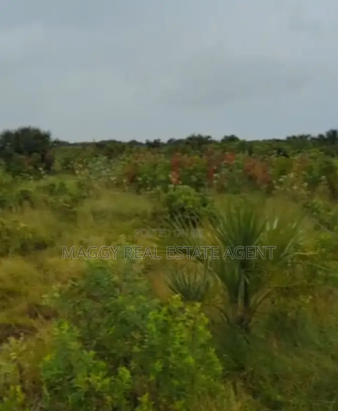 Plots Near Beach for Sale, Mapinga Bagamoyo in Bunju