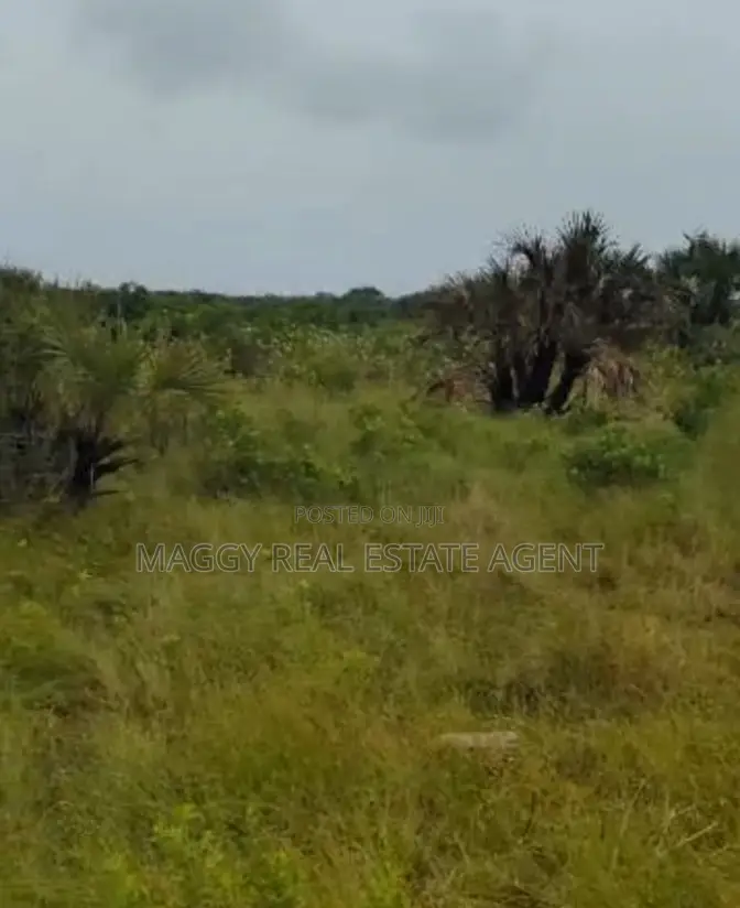 Plots Near Beach for Sale, Mapinga Bagamoyo in Bunju