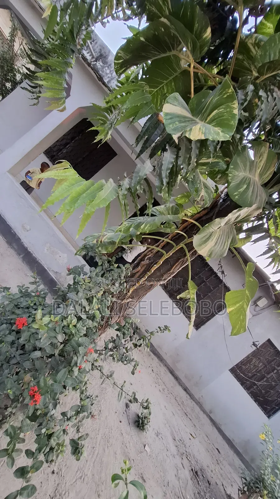 2bdrm Bungalow in Sinza Legho for rent in Sinza