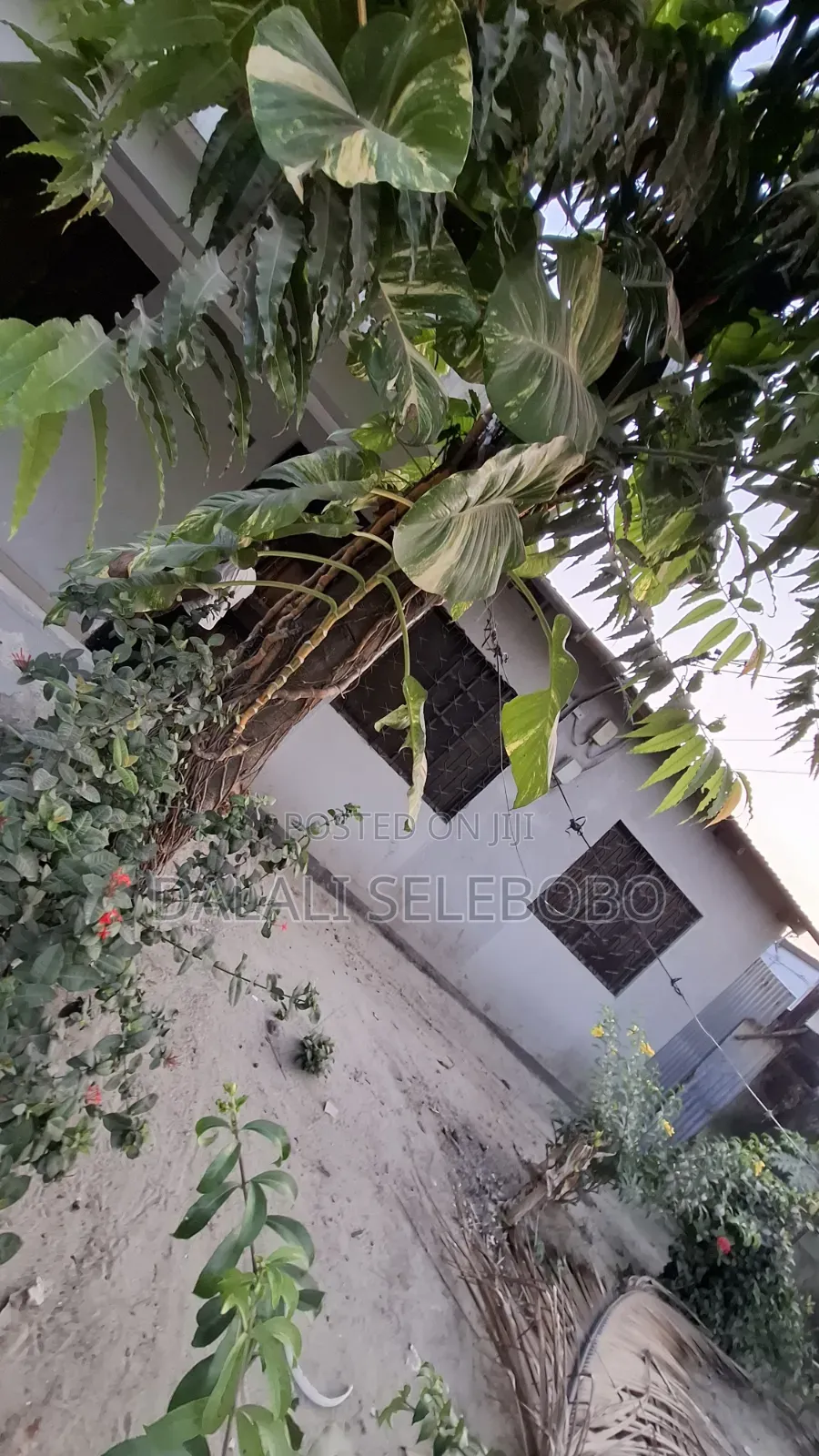 2bdrm Bungalow in Sinza Legho for rent in Sinza